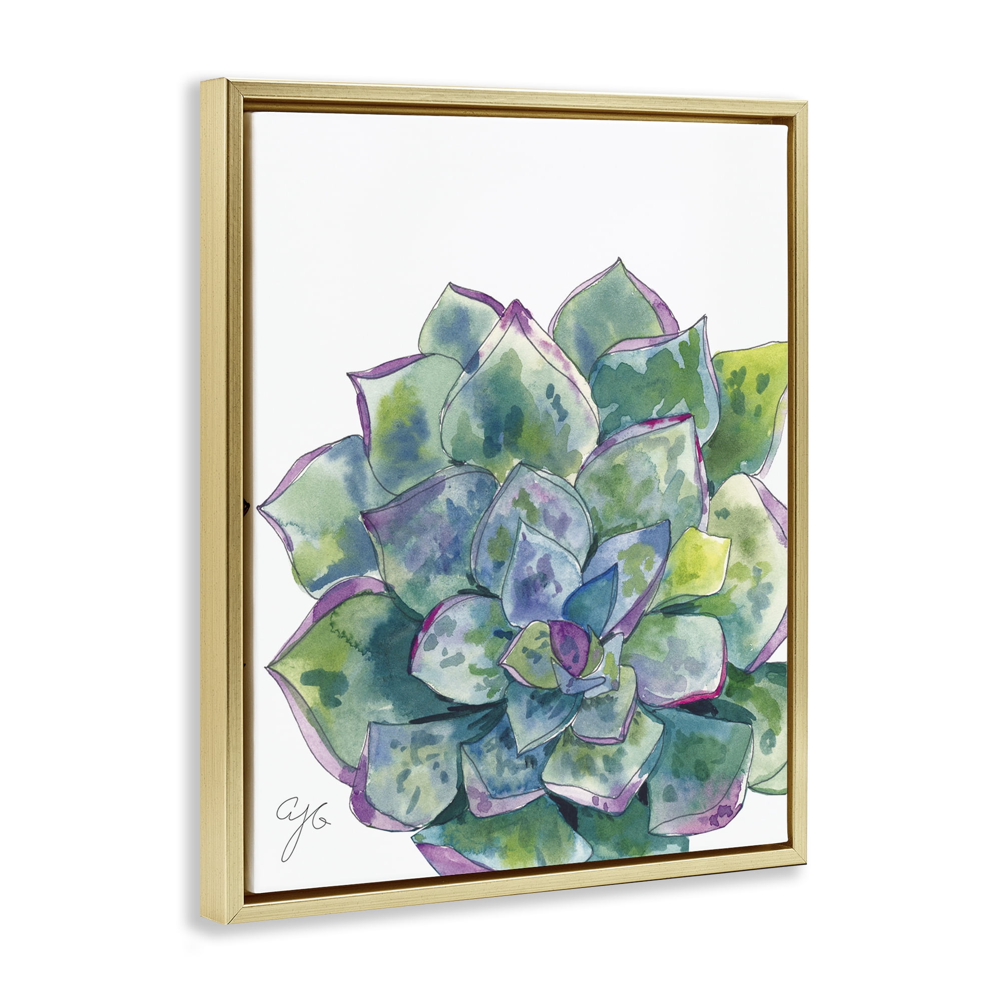 Stupell Industries Abstract Succulent Watercolor Botanical & Floral Painting Gold Floater Framed Art Print Wall Art, 25 x 31
