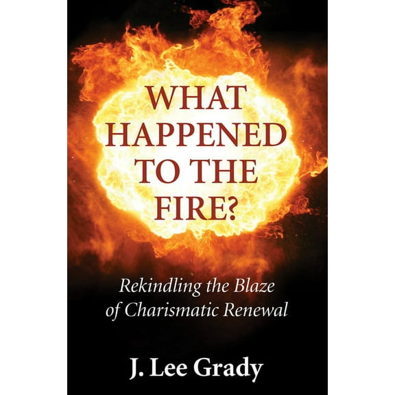 What Happened to the Fire? (Hardcover)