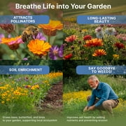 Organo Republic - 16 Perennial Wildflower Mix Seeds Varieties-100,000+ Non-GMO Heirloom Garden Seeds