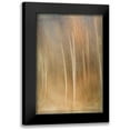 thumbnail image 1 of Murdock, Ramona 17x24 Black Modern Framed Museum Art Print Titled - Ethereal Forest, 1 of 5