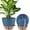 Blue, variant on VELASTRUM 2 Pack 8 Inch Self Watering Plant Pots with Drainage Holes, Water Level Indicator & Deep Reservoir, Decorative Planters for Indoor Outdoor Use (Black)