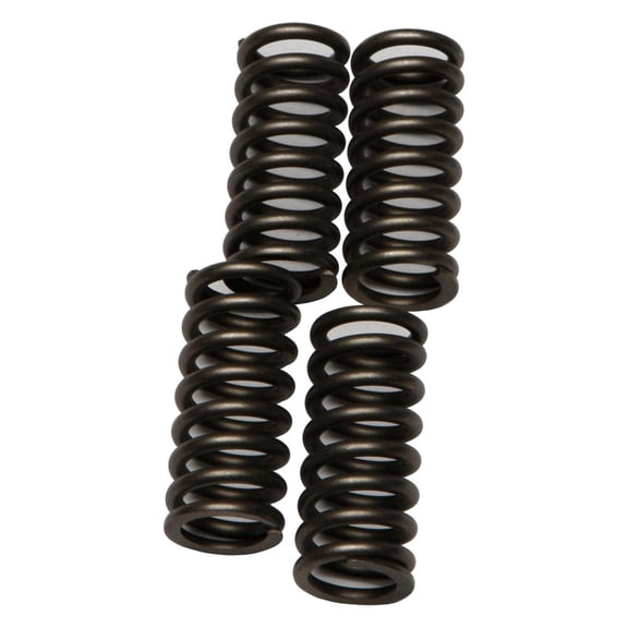 EBC CSK174 - CSK Series Heavy Duty Clutch Spring Kit