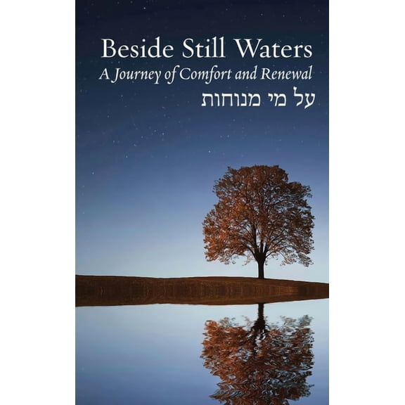 Bayit: Building Jewish Beside Still Waters: A Journey of Comfort and Renewal, (Hardcover)