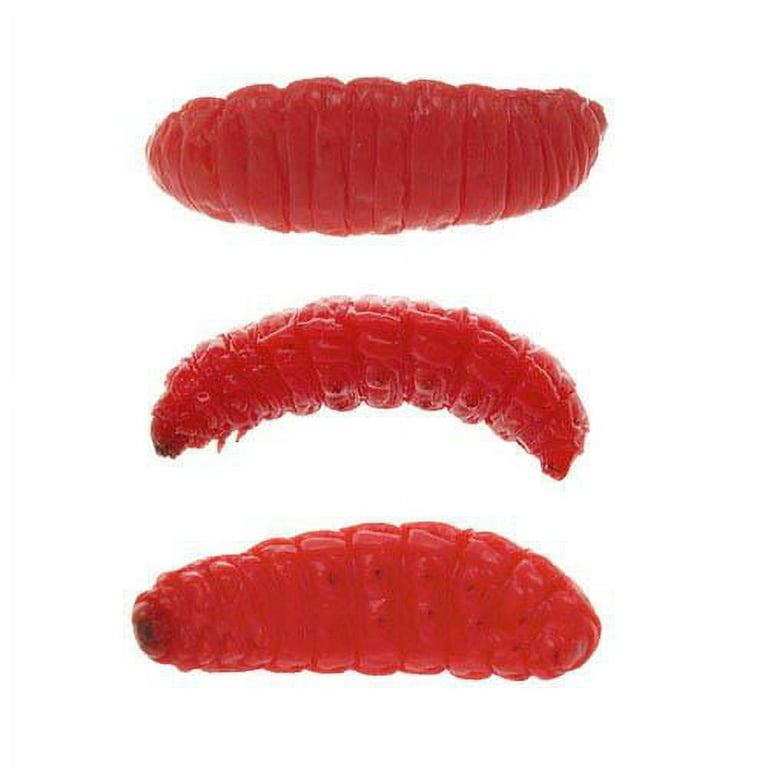 Eurotackle Mummy Worm Preserved Wax Worms, Red, Model 00105, 35+/pack