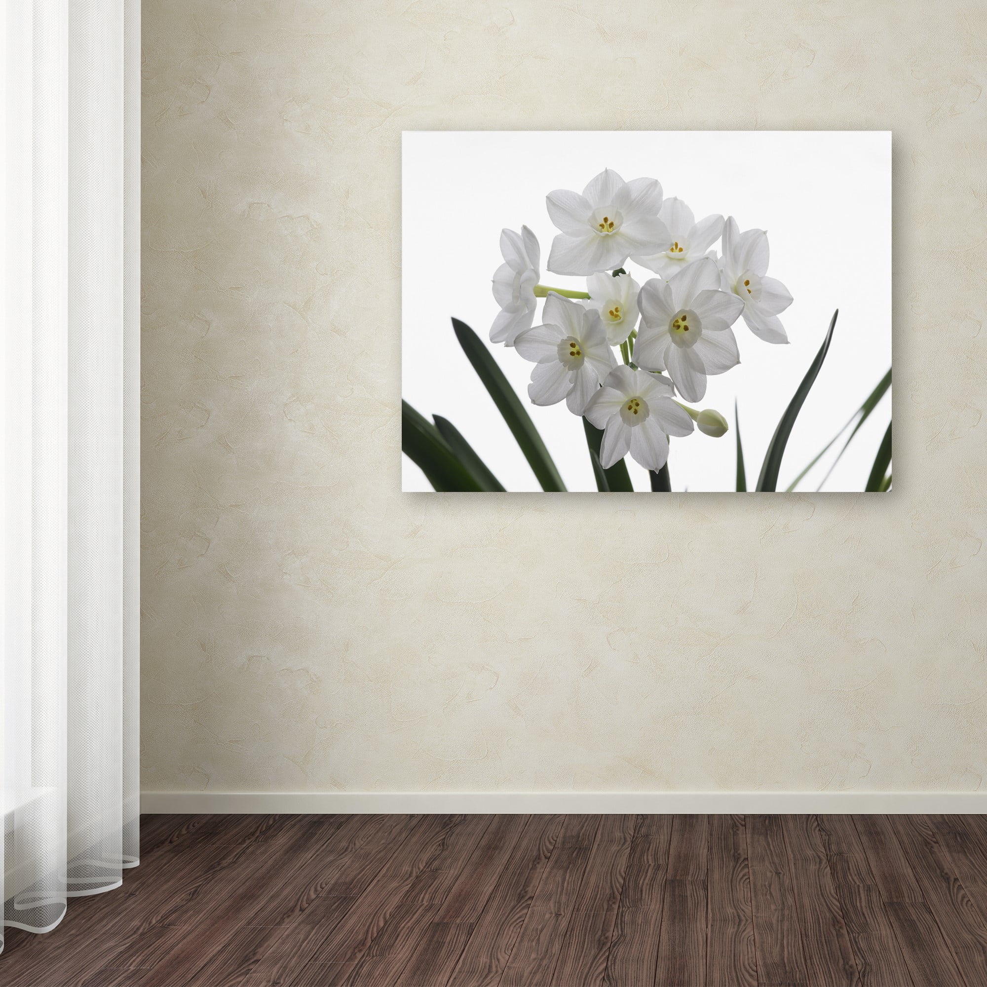 Trademark Fine Art "Paper White Bouquet" Canvas Art by Kurt Shaffer