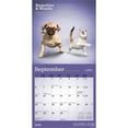 thumbnail image 4 of Yoga Puppies & Kittens Together OFFICIAL 2026 7x14" (Hanging) Wall Calendar | Plato, 4 of 9