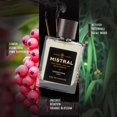 thumbnail image 4 of Eau de Parfum Mistral Sandstone para hombre 100 ml, 4 of 7
