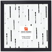 Craig Frames Modern Aesthetics 125, 12x12 inch Picture Frame, Black