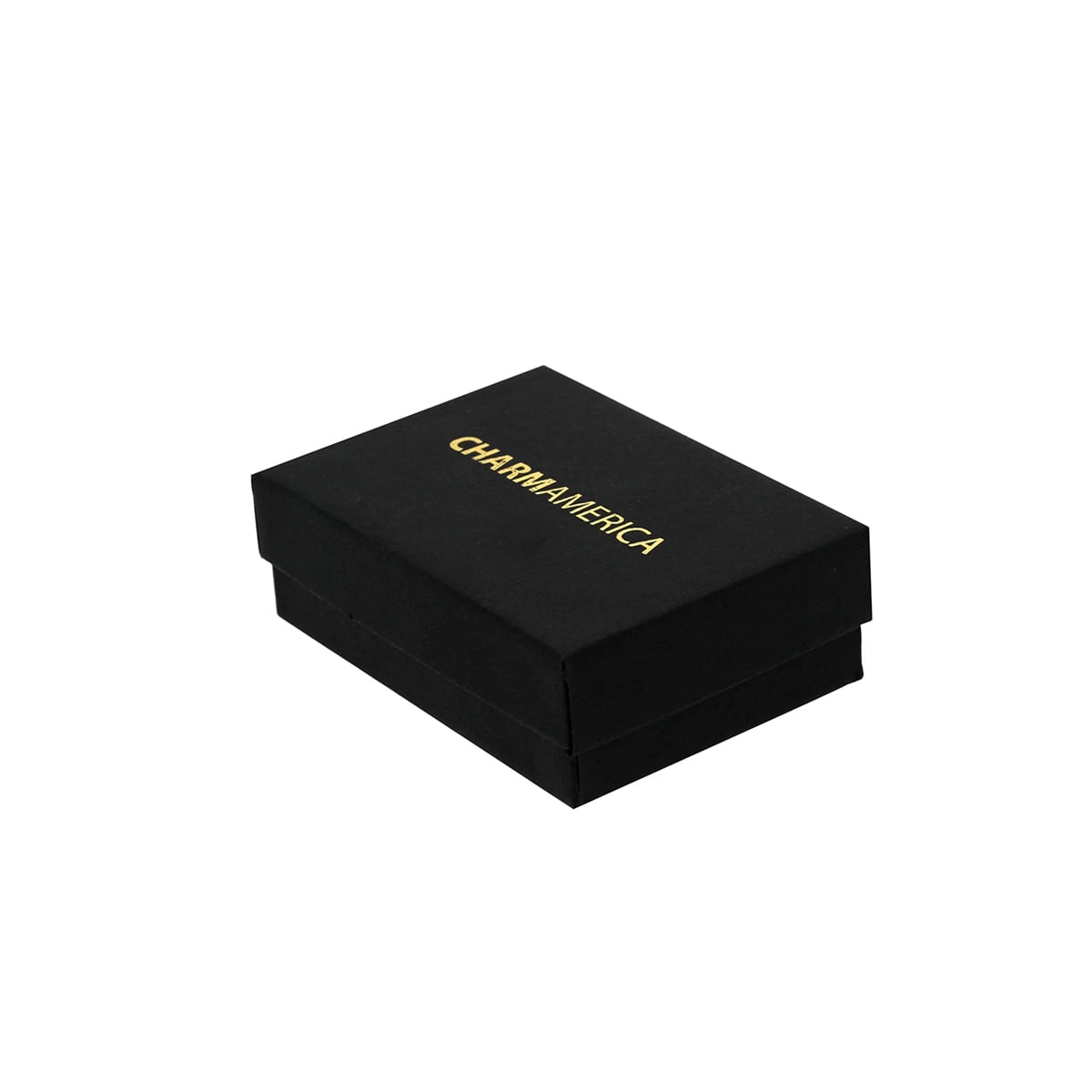 Charm America - Gold Key to Success Charm- 10 Karat Solid Gold