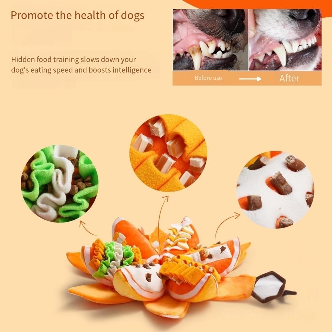 Interactive Puzzle Toy for Dogs, Slow Feeder & Plush Chew Toy with Squeaker, Mental Stimulation Toy for Small & Medium Dogs (Size/Colour as Pictured)