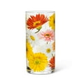 thumbnail image 1 of Ensemble de 2 Brebera Daisy Hiball, 1 of 1
