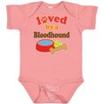 thumbnail image 3 of Inktastic Bloodhound Loved by a (dog Breed) Boys or Girls Baby Bodysuit, 3 of 5