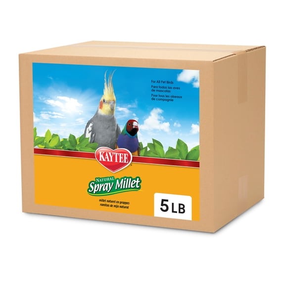 Kaytee Spray Millet Treat for Pet Birds, 5 Pound