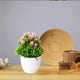 thumbnail image 3 of Flores artificiales, bonsáis artificiales en maceta, macetas de plástico para sala de estar, comedor, mesa de TV, mueble de centro, decoración, adornos, flores artificiales, bonsáis, plantas, 3 of 8