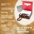 thumbnail image 3 of 11-inch Amberalia Amber Infant necklace, imported from Lithuania. Certified Baltic Sea amber with gift box, customized message, and engraved storage linen bag included., 3 of 5