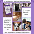 thumbnail image 5 of Purina Puppy Chow Salmon Training Treats Sm. Bag - 3 Pack | MerlinsMart Zine, Percy Loves Pal Furresher, & Dog Toy, 5 of 8
