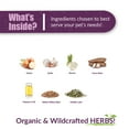 thumbnail image 3 of Amber NaturalZ Otaxium Drops Ear Care for Pets | Herbal Supplement to Help Maintain Ear Health, 3 of 6