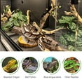 thumbnail image 6 of ToxiRium 40x16x16 inch Reptile Enclosure, PVC Stackable Terrarium with Sliding Glass Doors for Geckos, Corn Snakes, Kingsnakes and Other Small Reptiles, 6 of 9