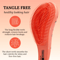 thumbnail image 4 of CALA Tangle Free Hair Brush with Frenchie Design for All Hair Types, 4 of 5