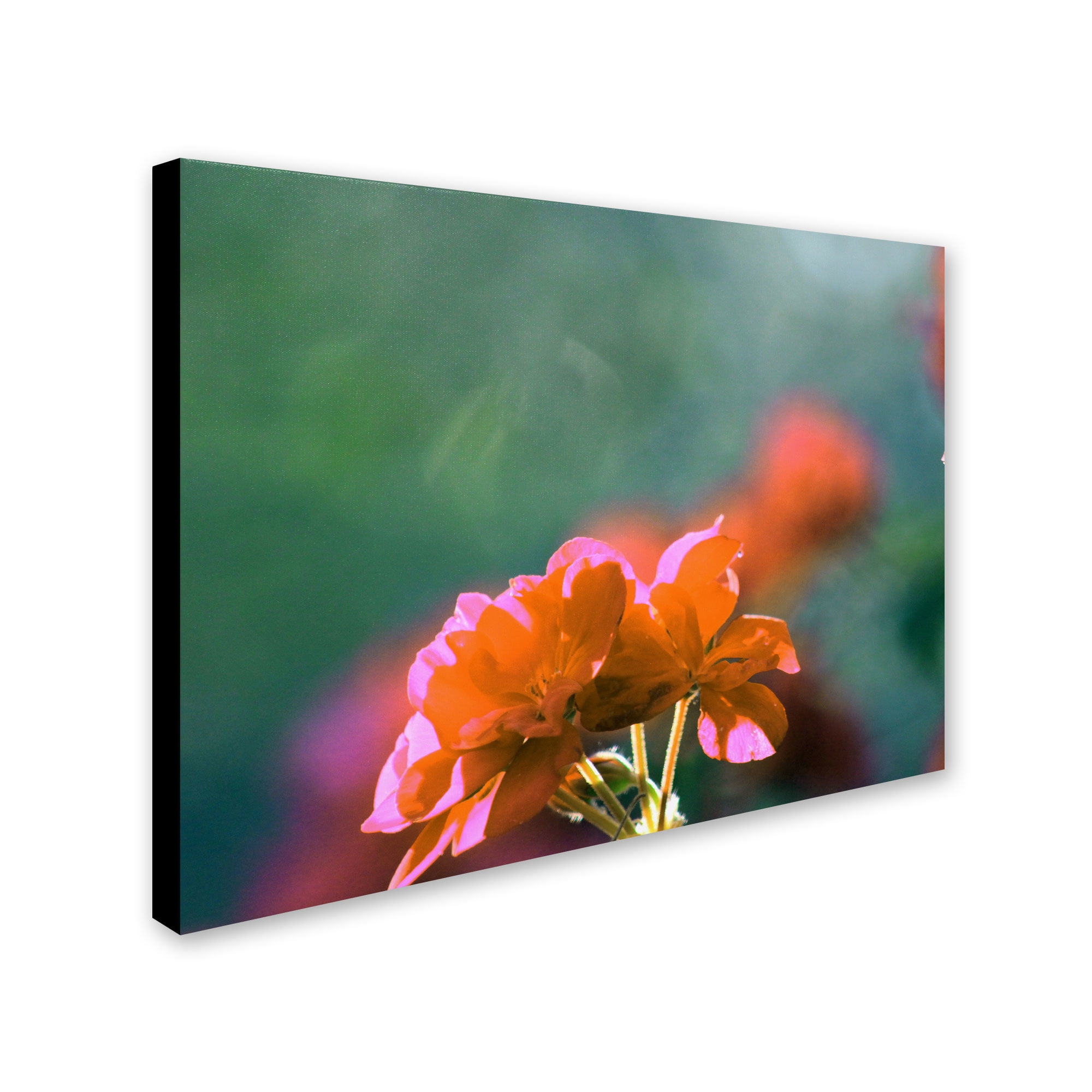 Trademark Fine Art "Flowers & Sun" Canvas Wall Art by Patty Tuggle