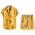 thumbnail image 1 of Conjunto casual de blusa y pantalones de playa de manga corta con estampado de botones para hombre Pompotops  oipoqjl35438, 1 of 3