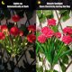 thumbnail image 5 of Decoración al aire libre Las bombillas solares decoran patios, balcones y caminos., 5 of 5