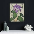 thumbnail image 4 of Nawypu  Vintage Purple Yellow Morning Glory Floral Study, Designed Canvas Wall Art, Grey, 4 of 4