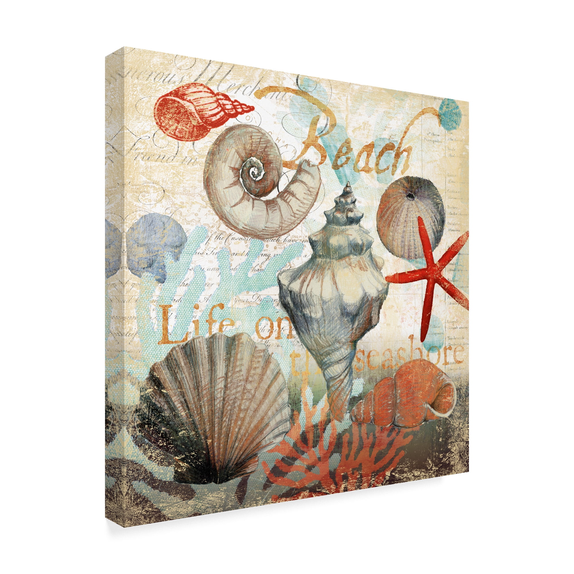 Trademark Fine Art 'Shell Collector Beach' Canvas Art by Art Licensing Studio