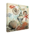 thumbnail image 2 of Trademark Fine Art 'Shell Collector Beach' Canvas Art by Art Licensing Studio, 2 of 3