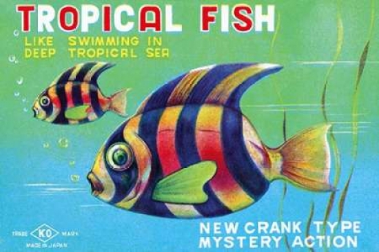 Tropical Fish Canva