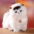 thumbnail image 2 of 2025 Electronic Plush Cats Lovely Robot Animal Toy Cute Stuff Electric Cat Meowing Soft Kids Pet Model Decoration Doll For Kids Gift Guanguan - HZ, 2 of 5