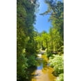 thumbnail image 2 of Grayscale 20x32 Black Ornate Wood Framed with Double Matting Museum Art Print Titled - Salmon Stream I, 2 of 4