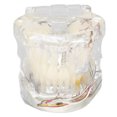 thumbnail image 2 of Herramienta de enseñanza clínica portátil para dientes propensos a enfermedades Modelo de implante dental acrílico transparente, 2 of 8