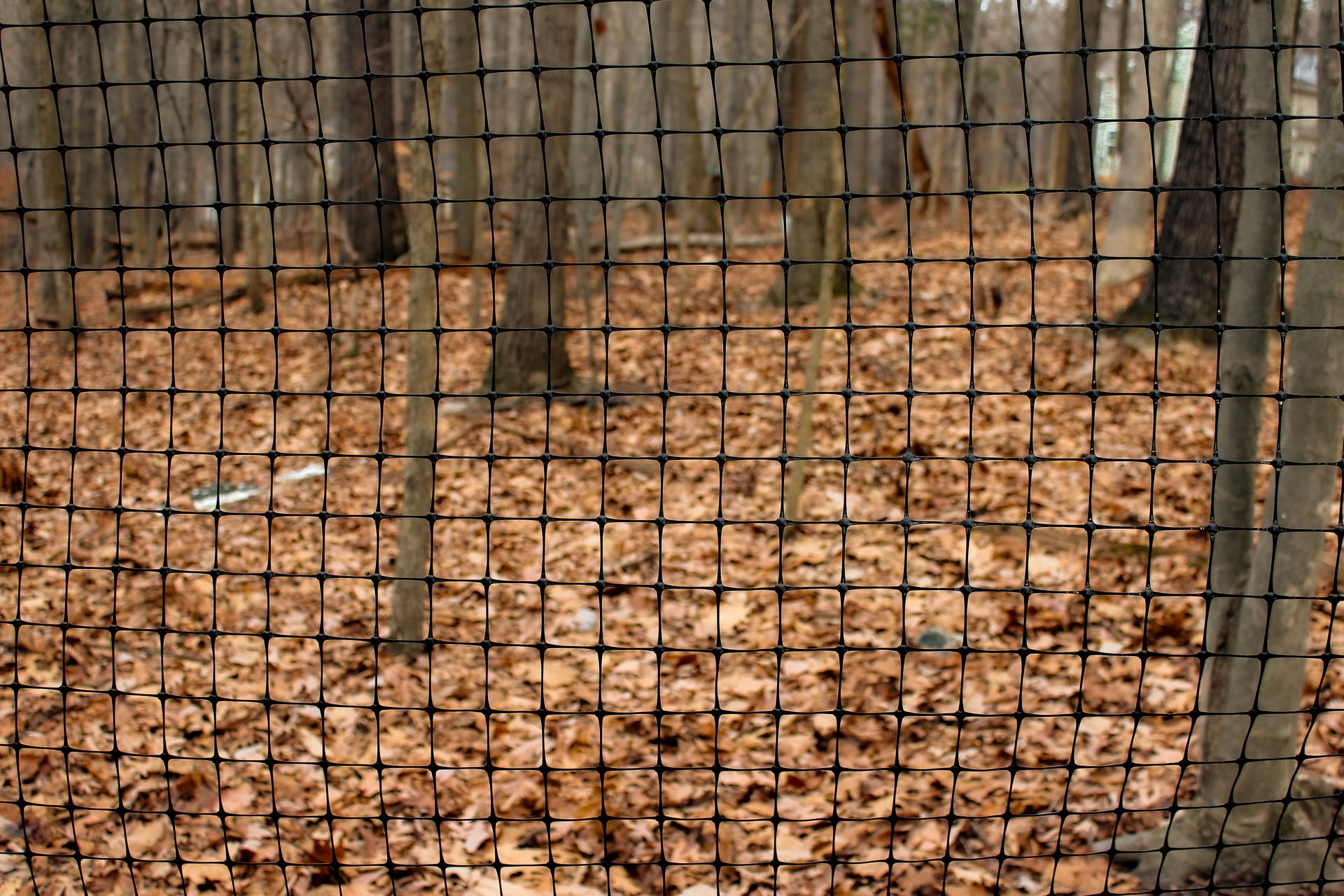 5ft x 100ft HD Polypropylene Fence Roll with Reinforced Bottom Edge