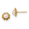 thumbnail image 1 of 14k 5-6mm White Button Freshwater Cultured Pearl Post Earrings in 14k Yellow Gold, 1 of 2