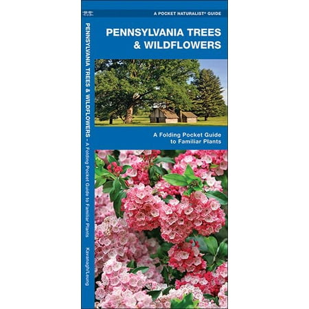 Pocket Naturalist Guides Pennsylvania Trees Wildflowers A Folding Pocket Guide To Familiar Plants Paperback Walmart Com Walmart Com