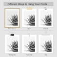 thumbnail image 3 of PixonSign Frameless Wall Art, Black White Snake Plant Agave Cactus Succulent Posters, Set of 4 Floral Botanical Wall Decor Modern Bedroom Prints, Nature Wilderness Wall Décor for Home - 11"x14", 3 of 5