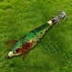 thumbnail image 5 of Señuelo Pesca Calamar Juego Señuelos Plantilla Luminosa Cebos Artificiales Sepia (05), 5 of 9