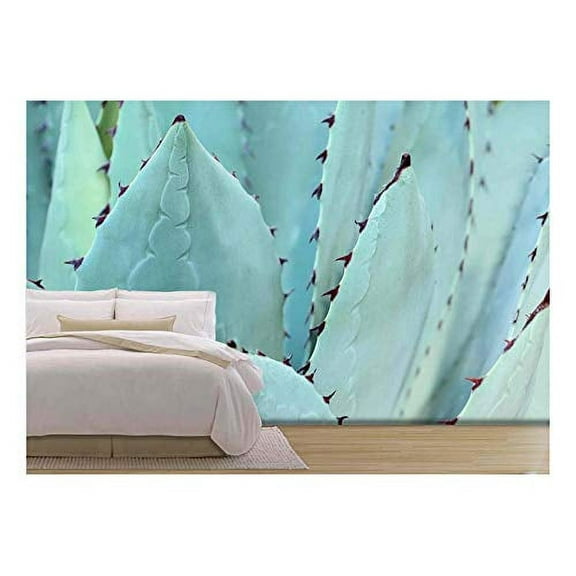 wall26 - Sharp Pointed Agave Plant Leaves Bunched Together. - Removable Wall Mural | Self-Adhesive Large Wallpaper - 100x144 inches