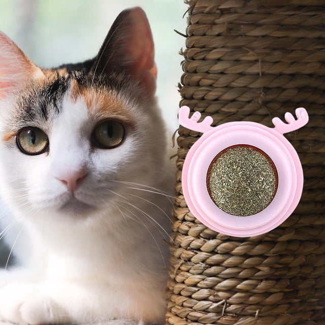 Juguete de hierba gatera Salvador para gatos montaje en pared Bola de Ciervo rosa