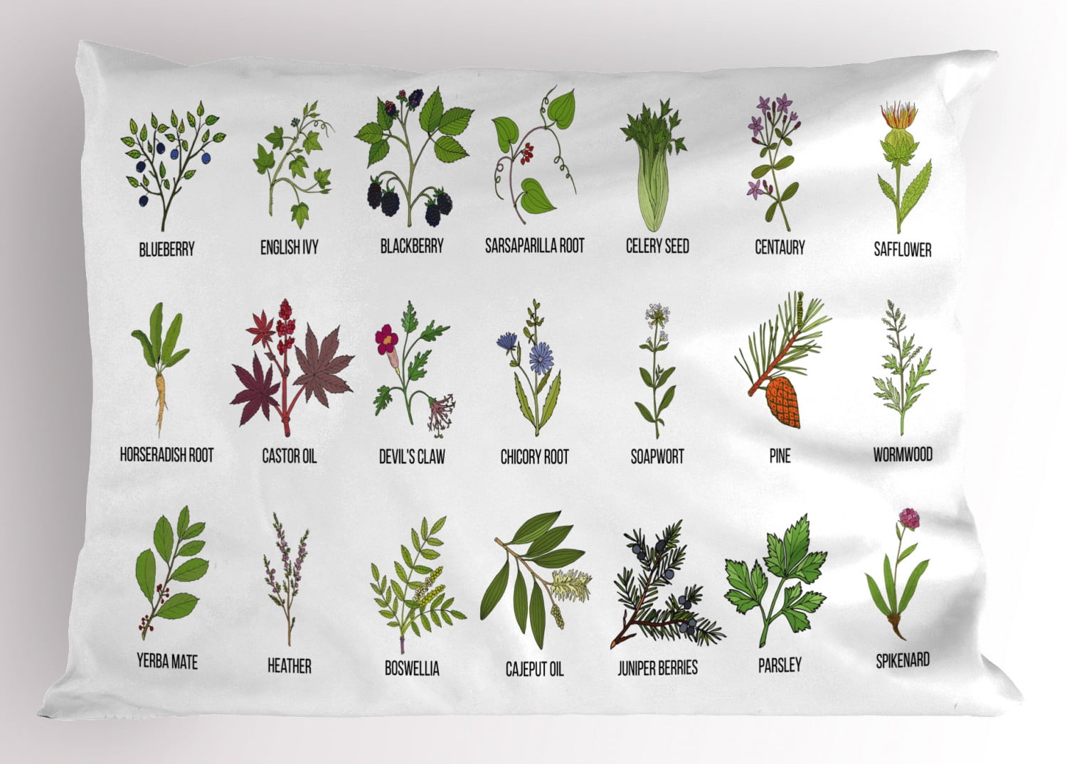 Herb Pillow Sham, Natural Treatment Infographic Scheme with Healthy
