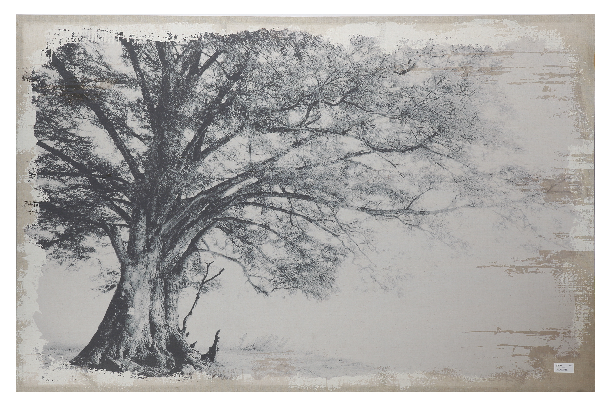 A&B Home Black & White Tree Print on Canvas