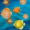 thumbnail image 3 of Pinto, Patricia 12x12 Black Modern Framed Museum Art Print Titled - Aquatic Sea Life II, 3 of 5