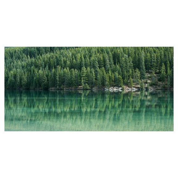 Masterpiece Art Gallery Reflected Evergreen Forest by TJ Holowaychuk Canvas Art 17" x 34"
