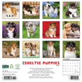 thumbnail image 2 of Sheltie Puppies 2025 Wall Calendar, 2 of 5