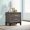 Oak, variant on Art Deco 2 Drawer Nightstand with Gold Hardware, Small Bedside Table for Living Room, White Engineered Wood Nightstand 21.75L x 16.25W x 22.25H