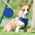 thumbnail image 4 of Deago Dog Harness Leash Set, Dog Harness No-Pull Pet Harness Adjustable Reflective Mesh Outdoor Pet Vest for Dogs Easy Control for Small Medium Dogs - Size XS, Blue, 4 of 10