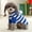 Blue, variant on Spencer Dog and Cat Clothes Small Dog Sweaters with Hat Striped Doggie Sweater Knitwear Pullover Warm Pet Puppy Apparel for Fall Winter (Red, S)