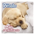 thumbnail image 2 of Papel higiénico Pétalo Rendimax 18 rollos con 280 hojas dobles c/u, 2 of 4
