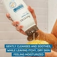 thumbnail image 3 of Aveeno Active Naturals Body Wash, Skin Relief, Coconut Scent, Skin Lotion, 12 Oz, Pack of 3, 3 of 3